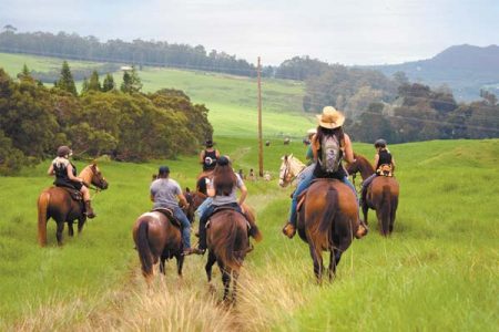 Trail ride benefits St. Jude Children’s Hospital